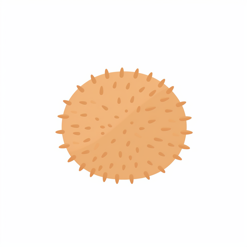 Sea Urchin Recipes
