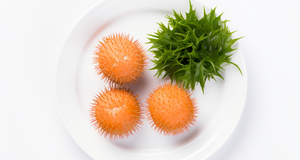 Sea Urchin Nutrition
