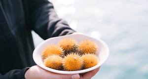 The Vitamin D Connection: How Sea Urchins Can Boost Your Mood