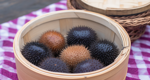 The Art of Serving Sea Urchins: Traditional Methods Around the World