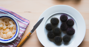 From Sea to Table: How to Prepare and Cook Your Own Sea Urchins at Home